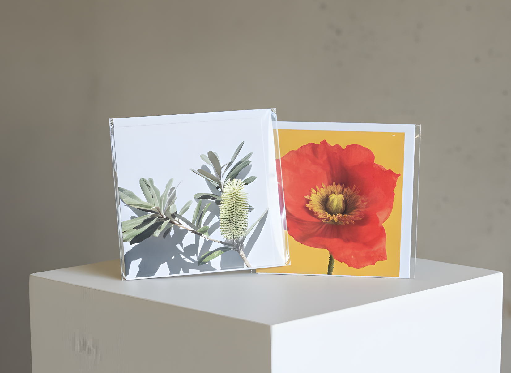 Botanical greeting cards Sunshine Coast | Elsie + Oak