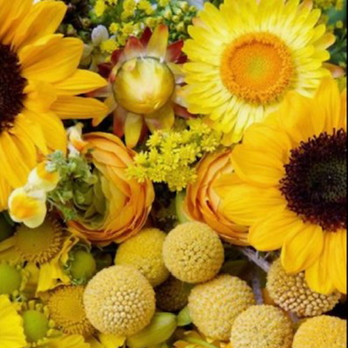 Good Morning | Bright Seasonal Flowers | Coolum Florist | Sunshine Coast Same Day Flower Delivery