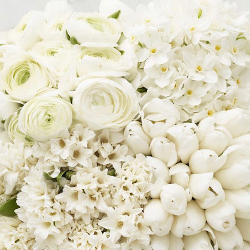 Pure Perfection | White Seasonal Flowers | Coolum Flowers | Same Day Flower Delivery Sunshine Coast