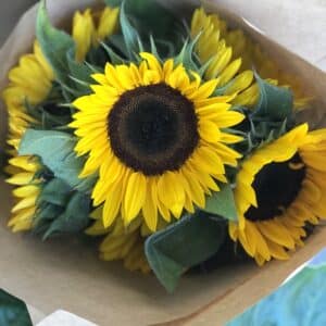 Bunch of Sunflowers | Coolum Florist | Same Day Flower Delivery Sunshine Coast | Florist Near Me