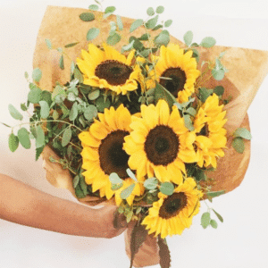 Sunflowers | Sunshine Coast Florist | Elsie and Oak | Coolum Florist | Same Day Flower Delivery Sunshine Coast