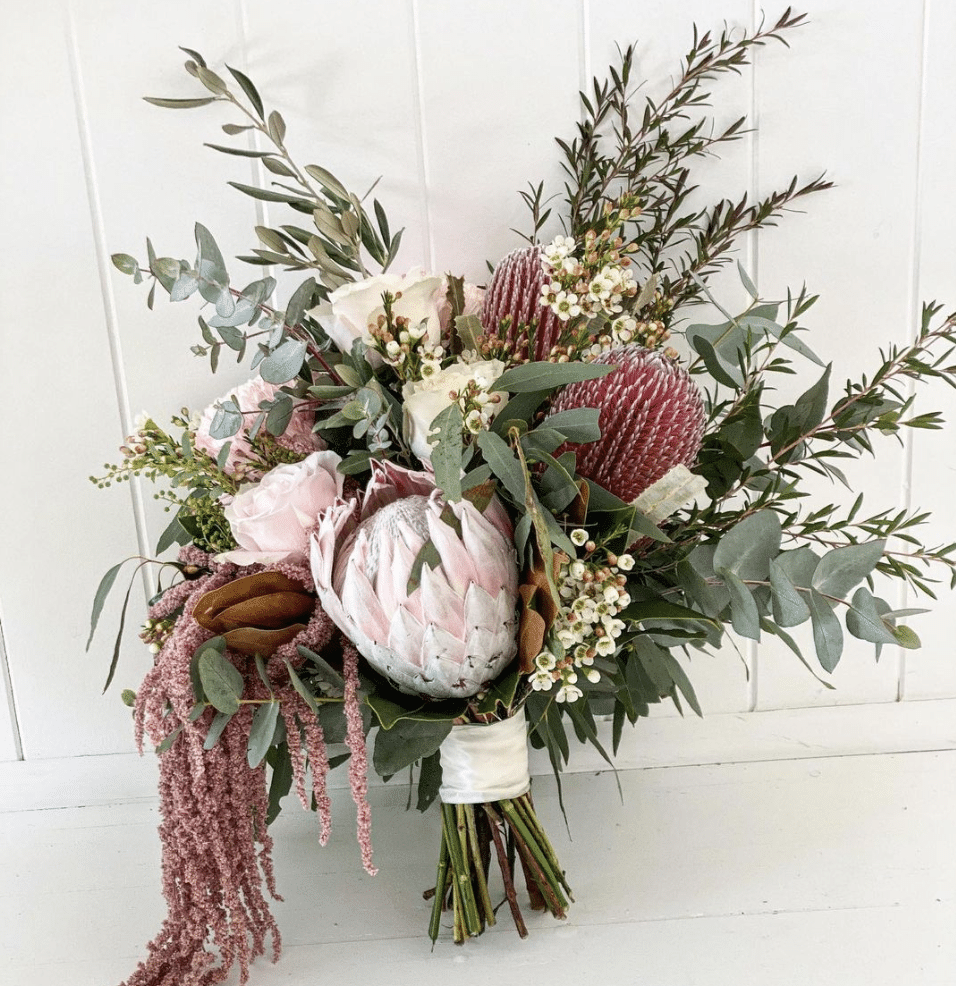 Australian Native Flowers | King Proteas | Coolum Florist | Elsie & Oak | Same Day Flower Delivery Sunshine Coast