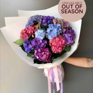 Bunch of Hydrangea | Coolum Florist | Same Day Flower Delivery Sunshine Coast | Sunshine Coast Florist