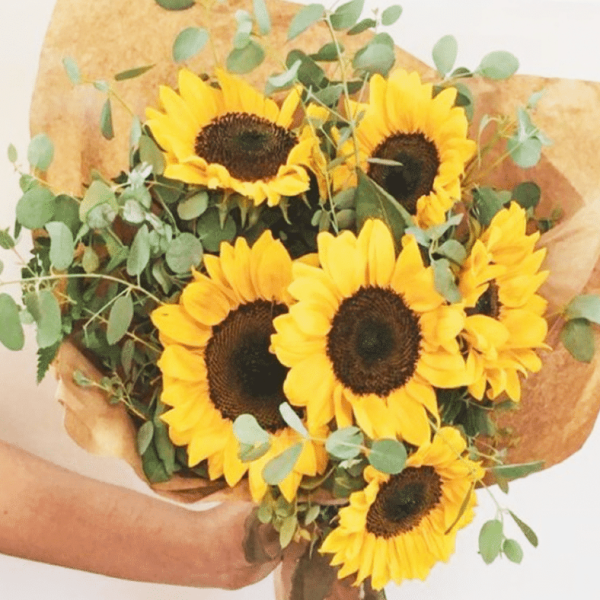 Sunflower Bouquet | Coolum Florist | Same Day Flower Delivery